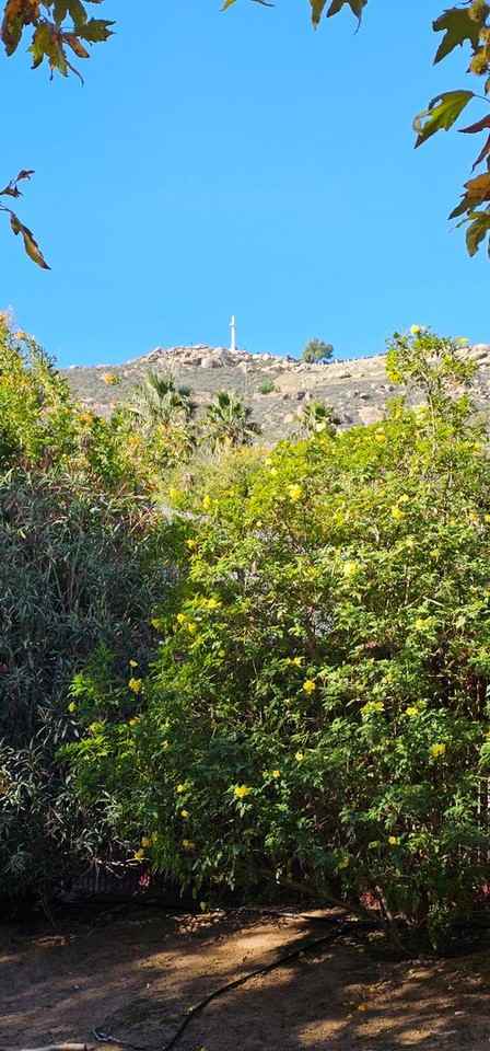 4241 Isabella St - Photo 5 of 34