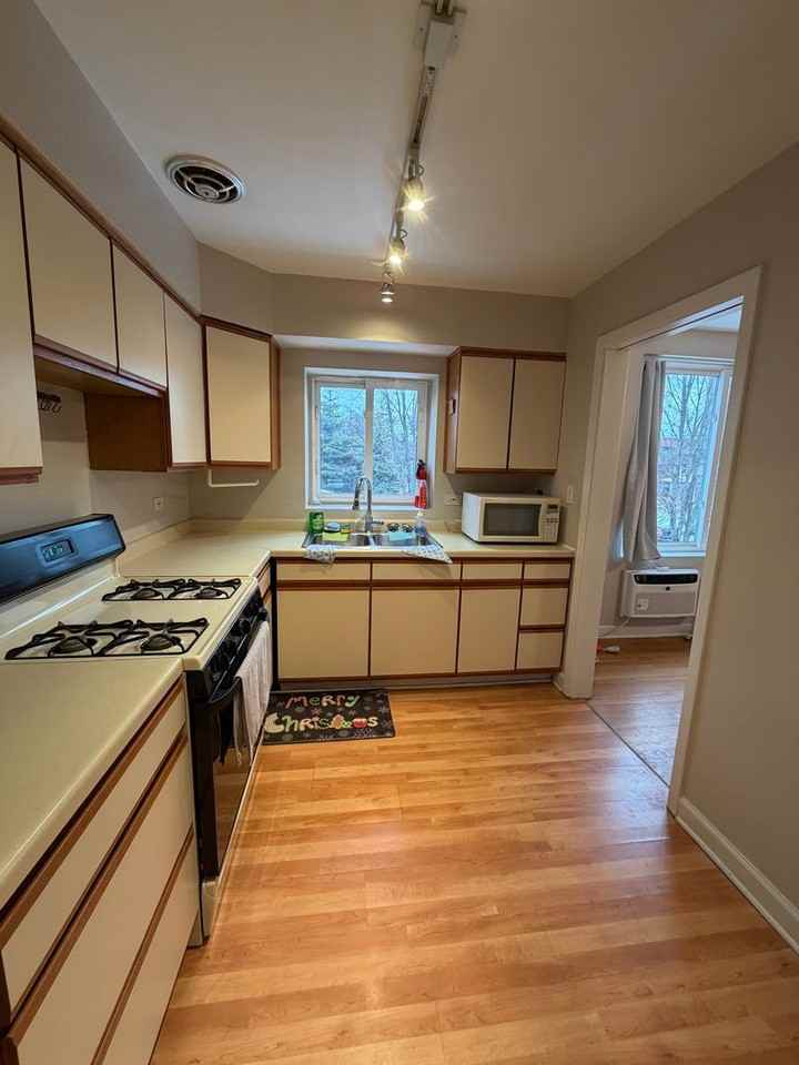 7400 North Sheridan Road #2A - Photo 4 of 17