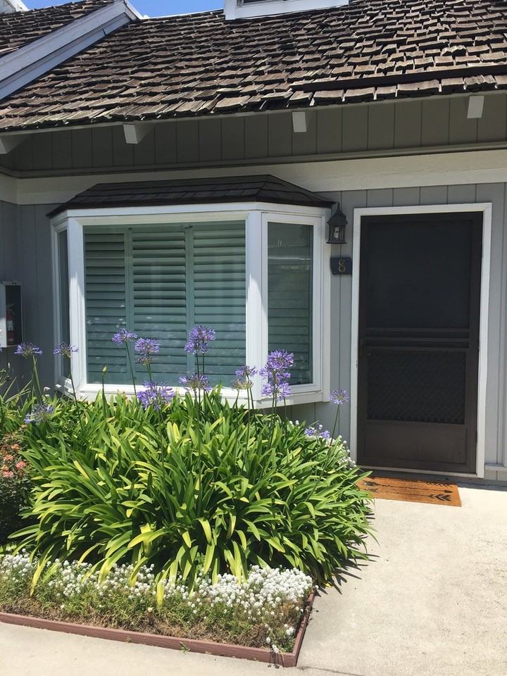 130 Ash Avenue #8 - Photo 2 of 17