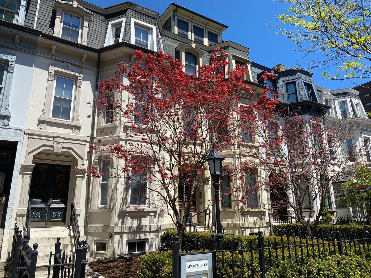 1611 Tremont Street - Photo 3 of 16