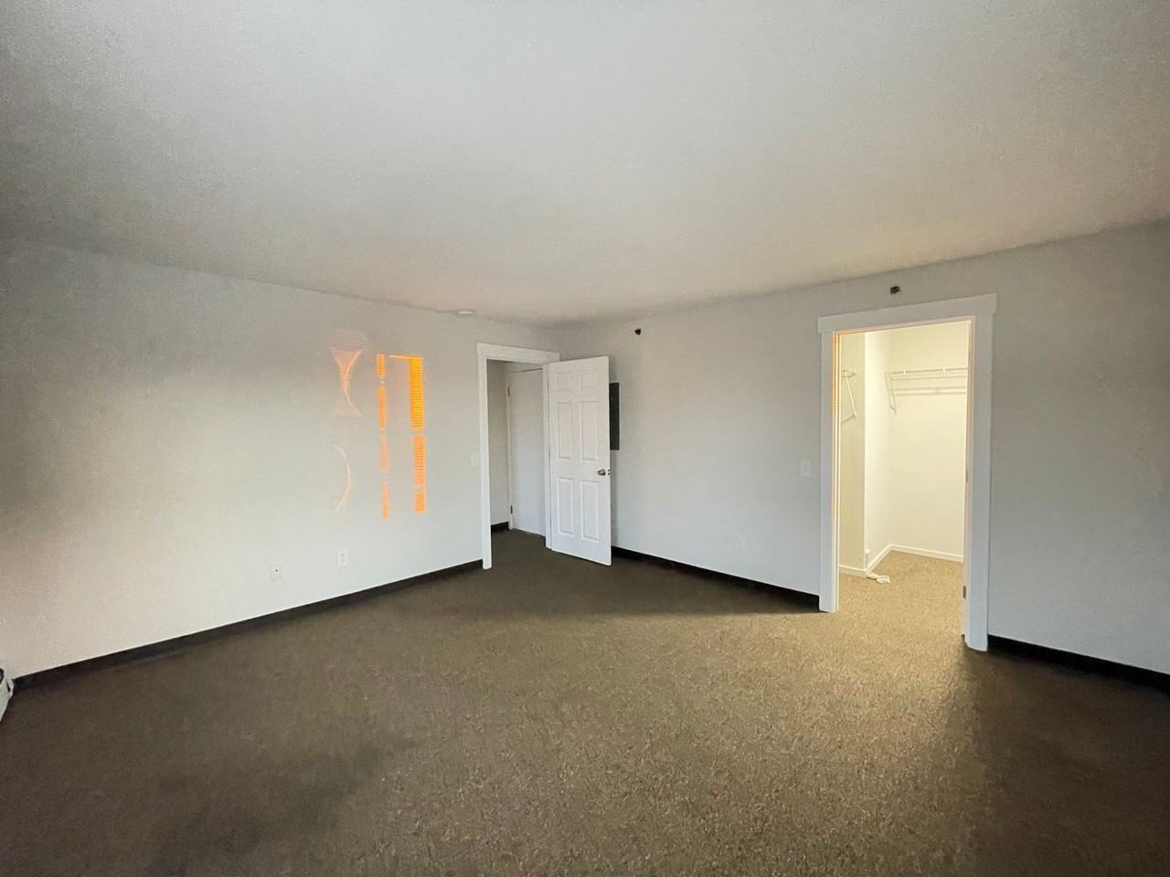 251 Pine Street #301 - Photo 4 of 12