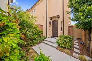 featured image of 116 Milky Way