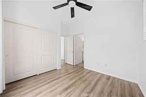 featured image of 145 Mongoose #145