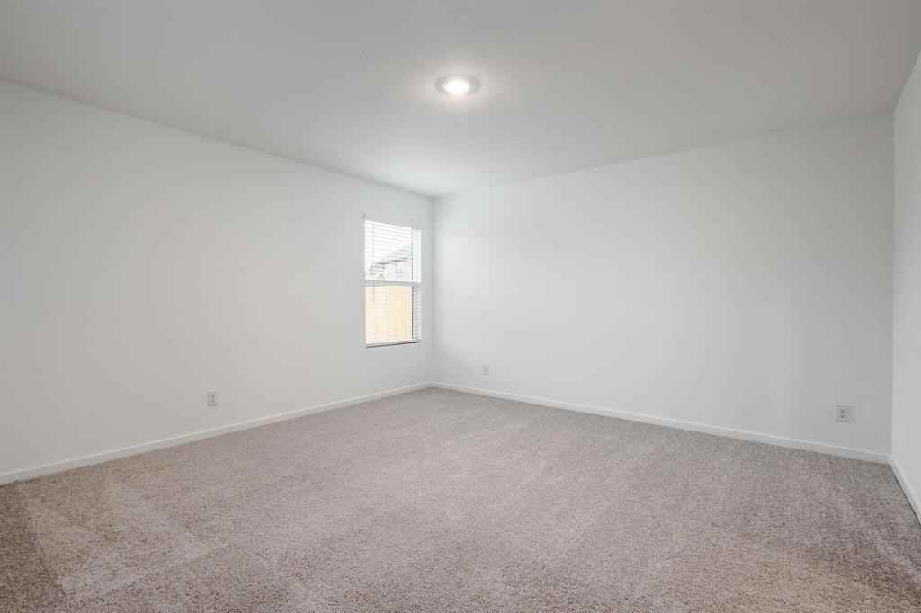 1119 Barbary Fields St #1119 - Photo 3 of 18