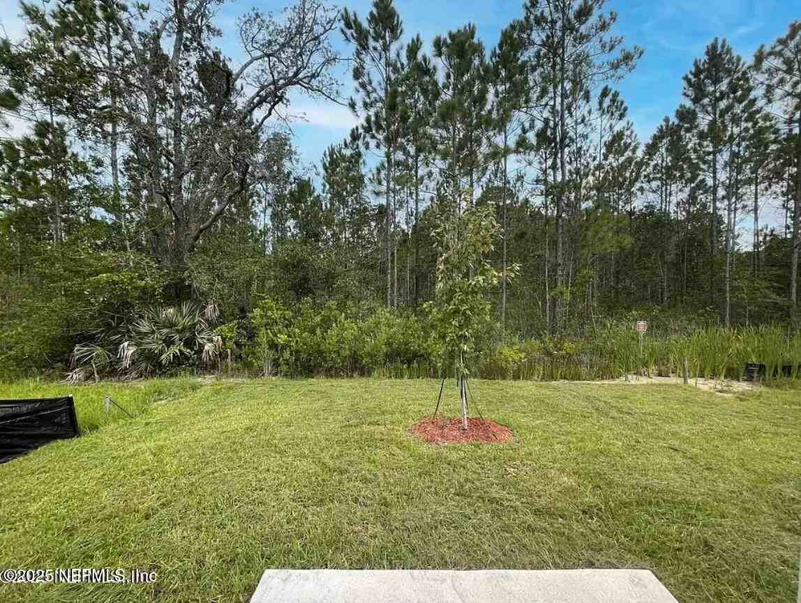 3177 Rustic Deer Way #3177 - Photo 5 of 22