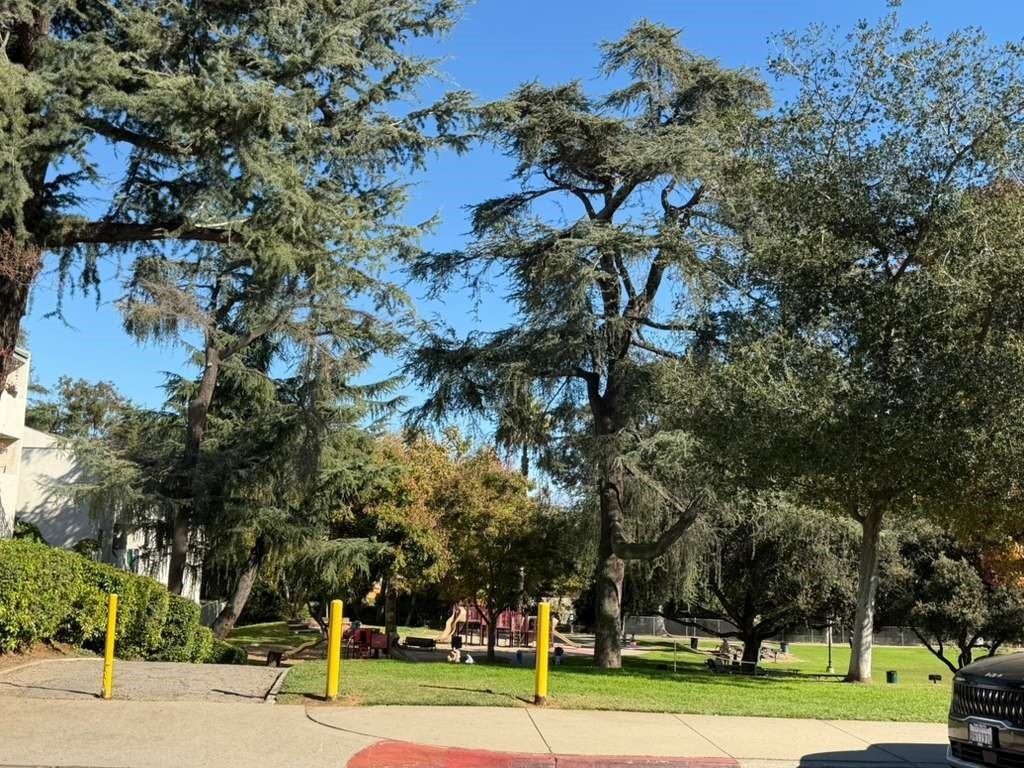 330 North Chapel Avenue