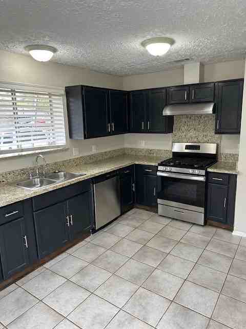 2503 Autumn Springs Lane #2503