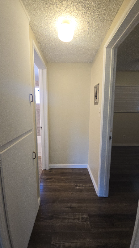 720 North Marengo Avenue #5 - Photo 4 of 7