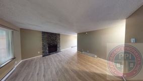 odo7401 - Photo 1 of 1