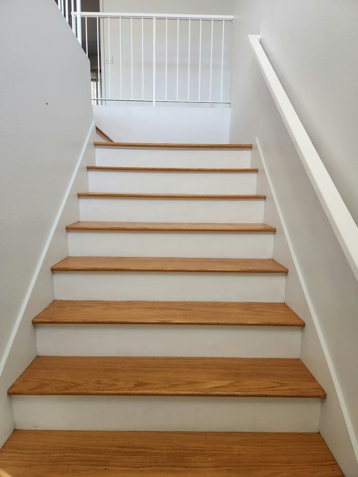 4425 Caminito Pedernal - Photo 7 of 26