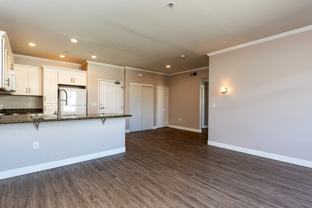 1501 Front Street #520 - Photo 1 of 1