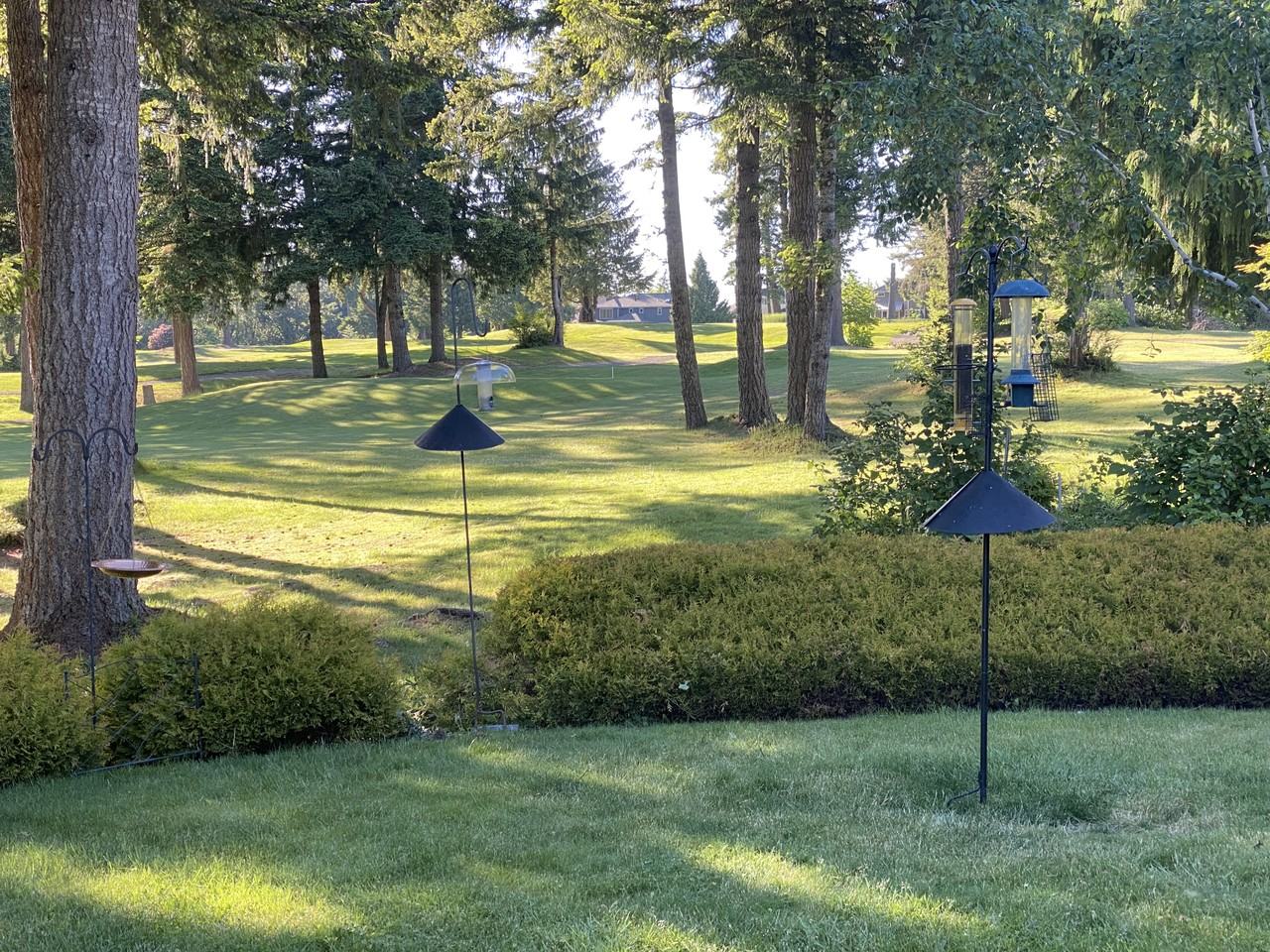 25733 Lake Wilderness Country Club Drive Southeast #NA - Photo 6 of 16