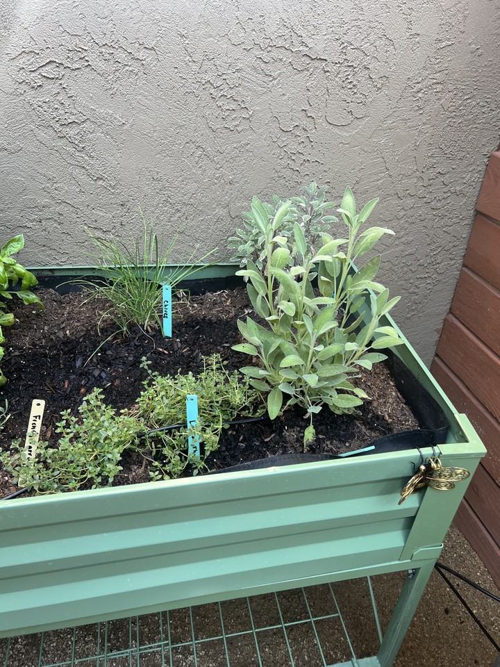 Woodglen Terrace - Photo 7 of 7