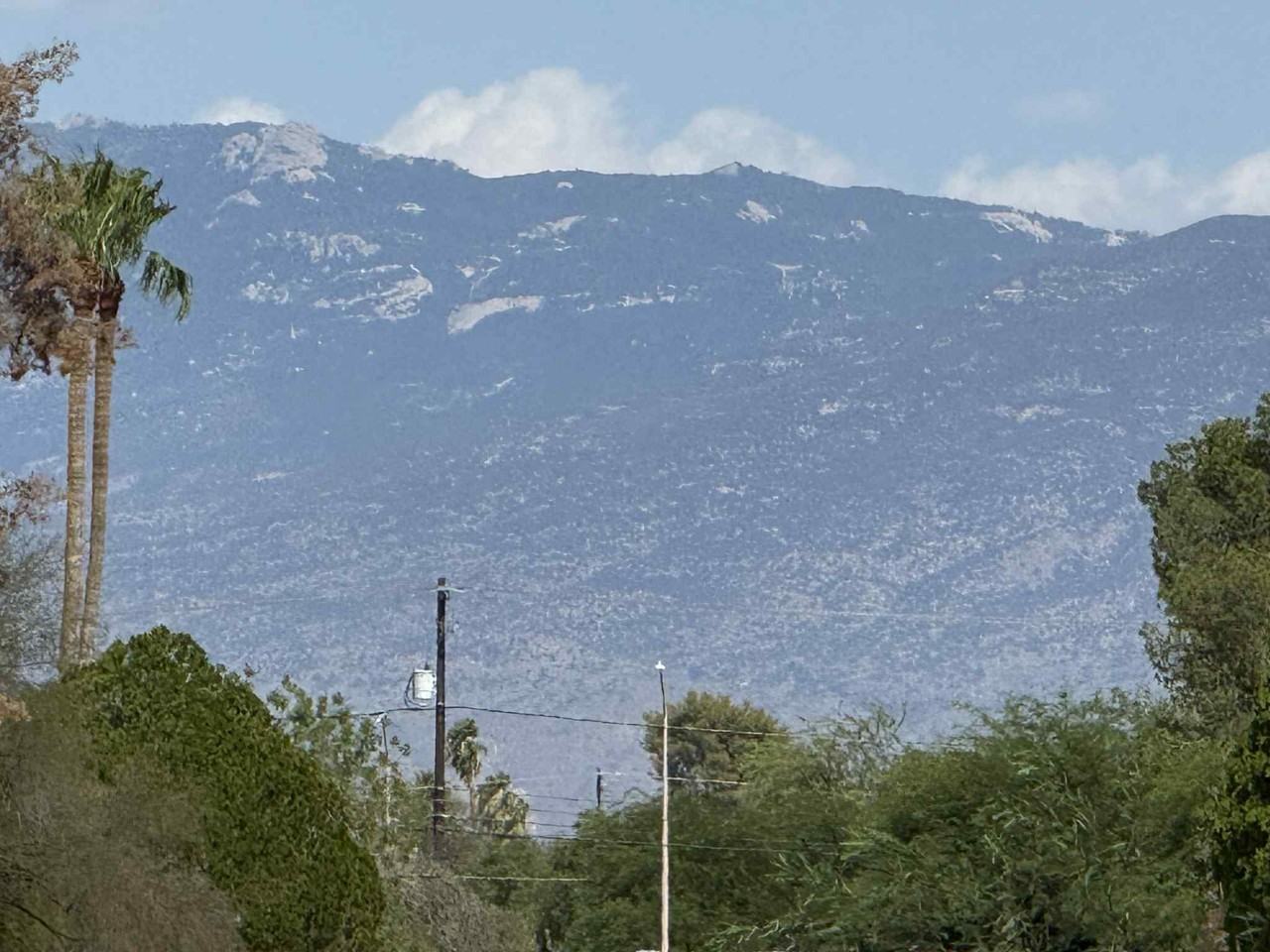 4832 East 24th Street #1 - Photo 6 of 29