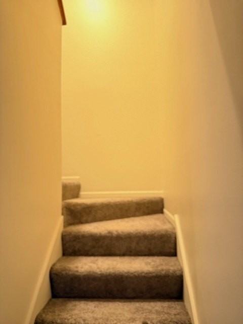 1334 Arlington Court #2 - Photo 5 of 5