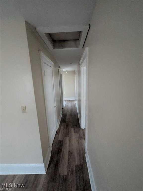 1733 Robindale Street #UP - Photo 6 of 10