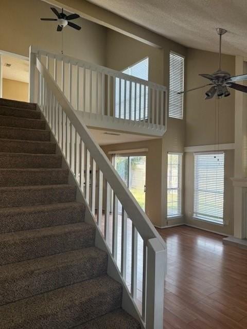 3502 Sara Drive - Photo 3 of 13