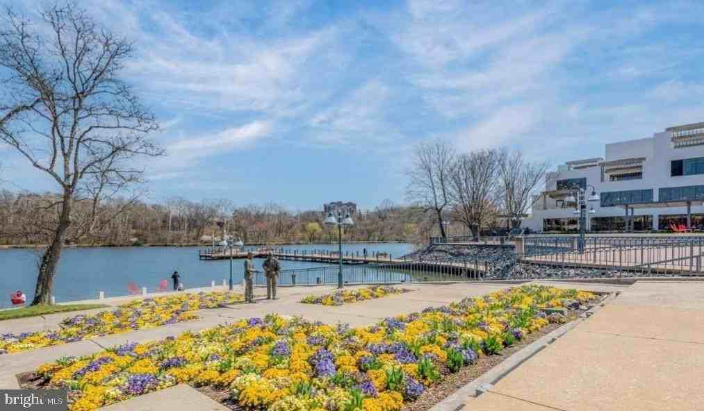 10205 Wincopin Circle #302 - Photo 4 of 23