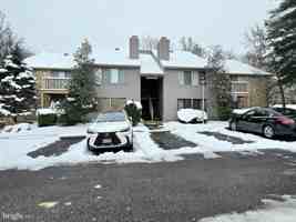 featured image of 1951 The Woods Ii