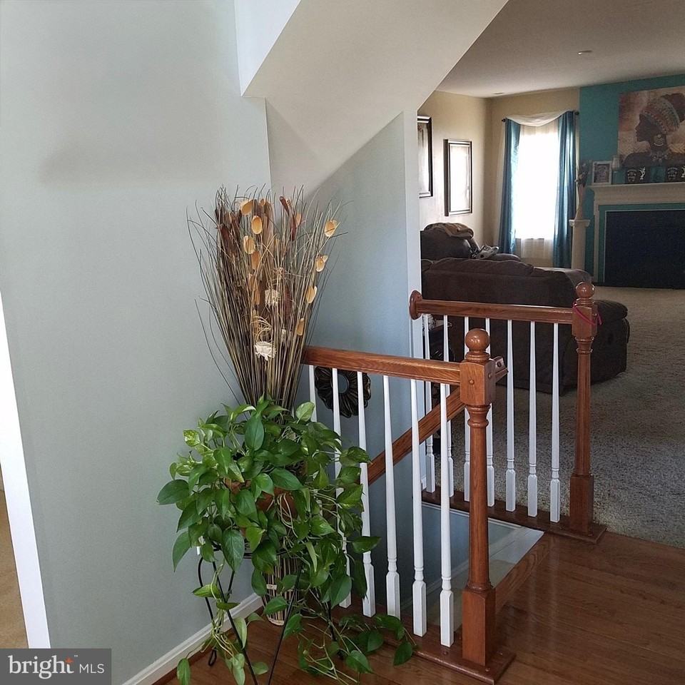 1037 Suffolk Dr - Photo 3 of 19