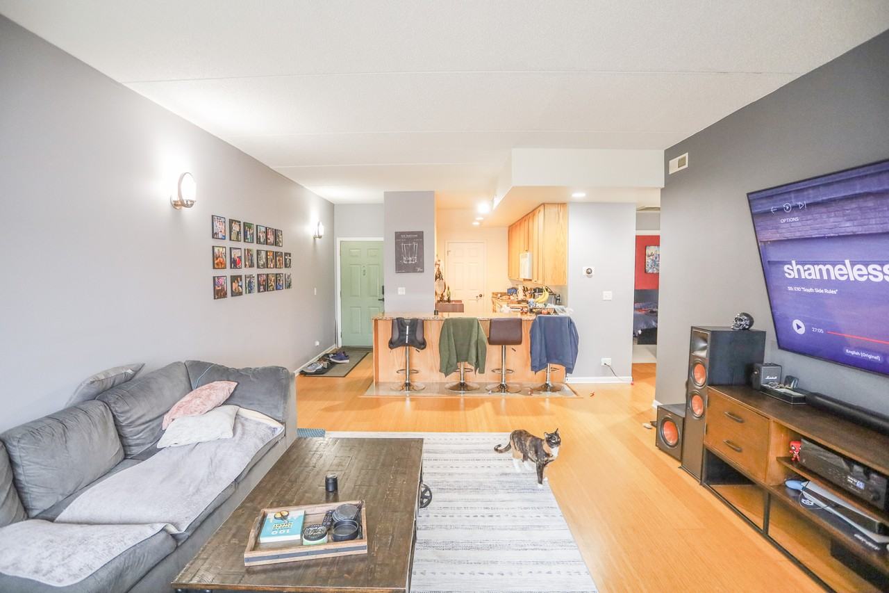 4625 W Lawrence Ave #203 - Photo 3 of 14