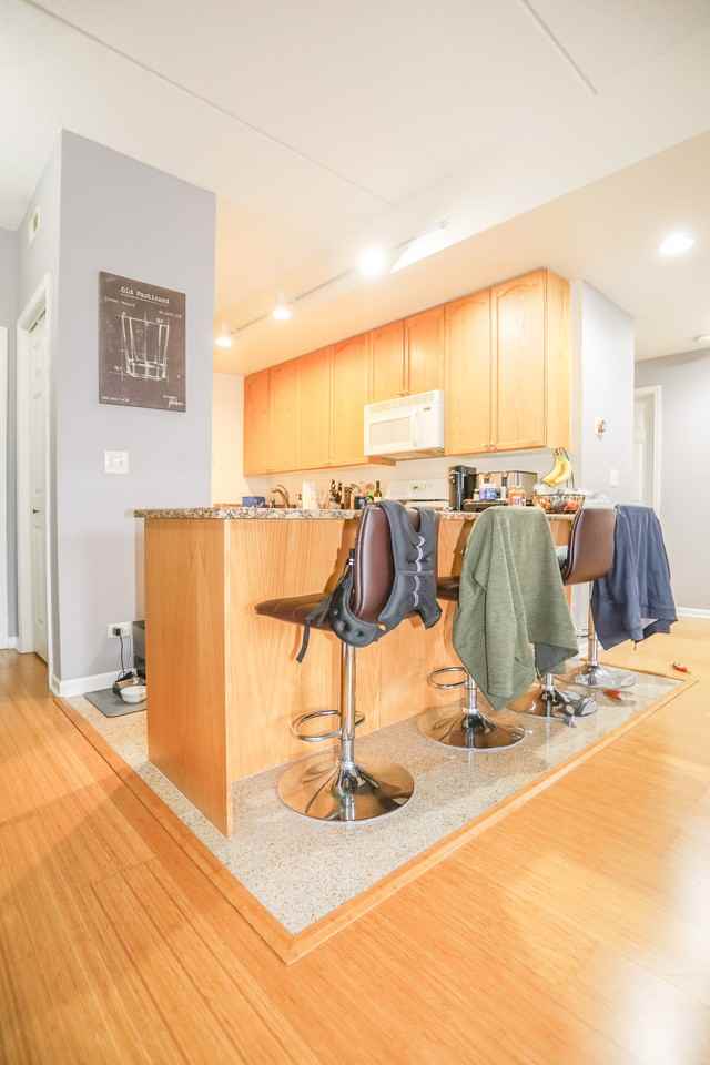 4625 W Lawrence Ave #203 - Photo 4 of 14