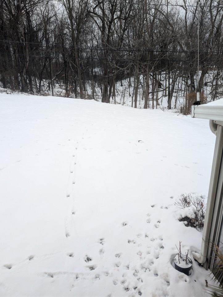 12517 Park Knoll Drive - Photo 6 of 13