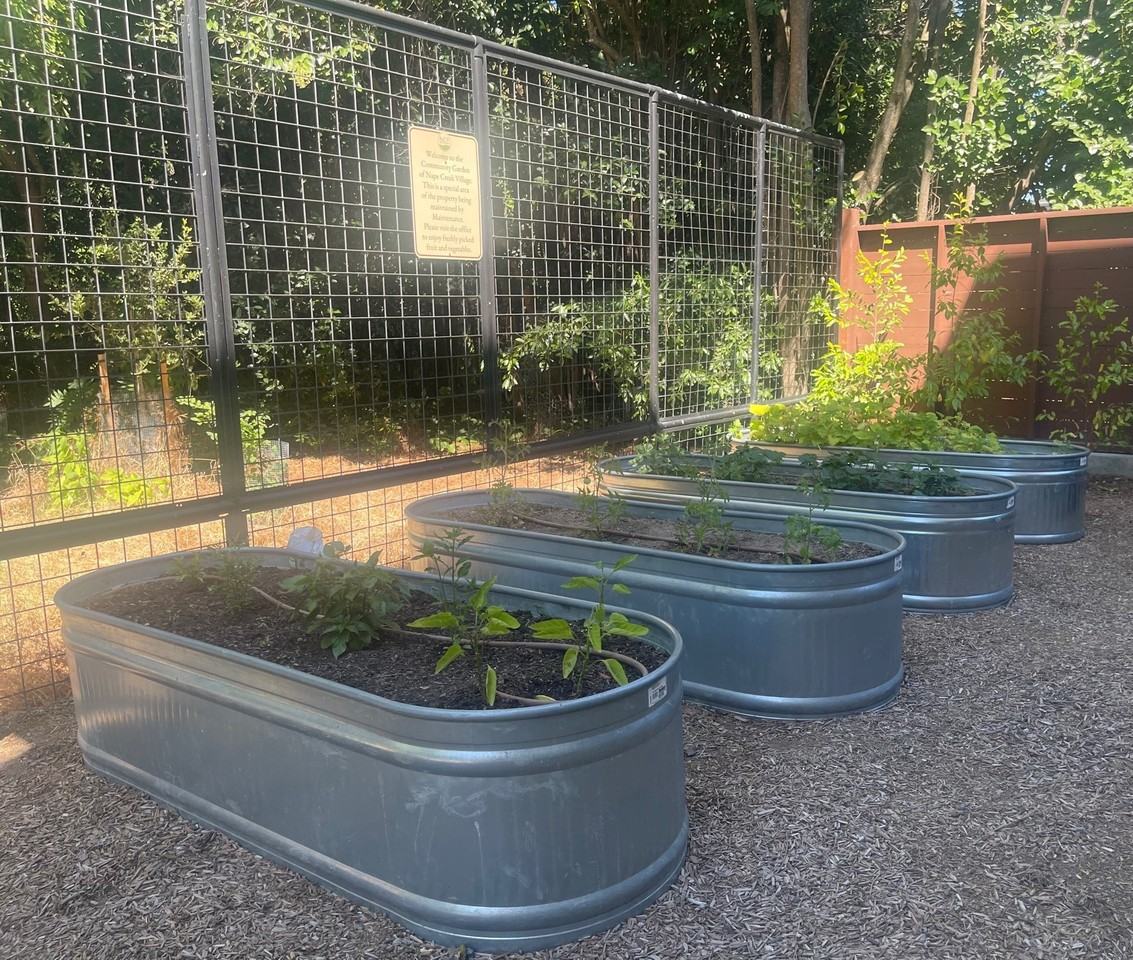 Napa Creek Village - Photo 7 of 17