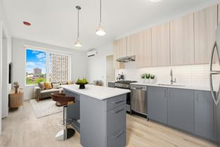 641 N Ogden Ave #606 - Photo 1 of 1