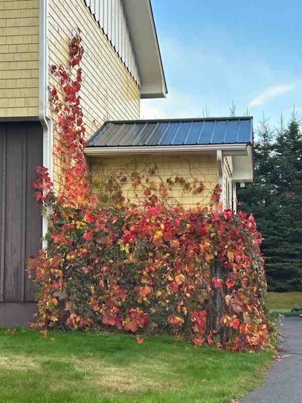 176 Cape Bear Road - Photo 2 of 14