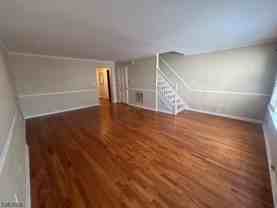 27 Marsh Hawk - Photo 1 of 1