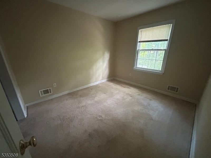 27 Marsh Hawk - Photo 5 of 8