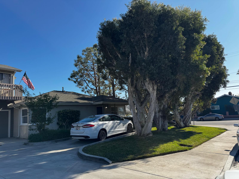 1800 Viola Place #A - Photo 3 of 13