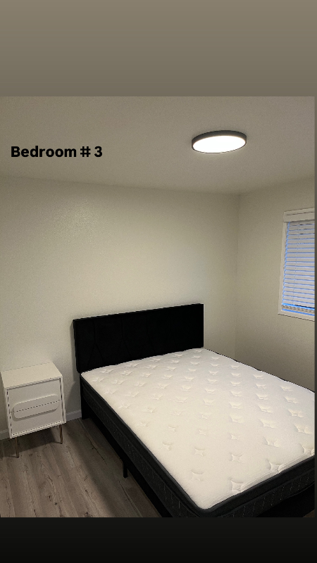 1668 South 50th Street - Photo 5 of 10