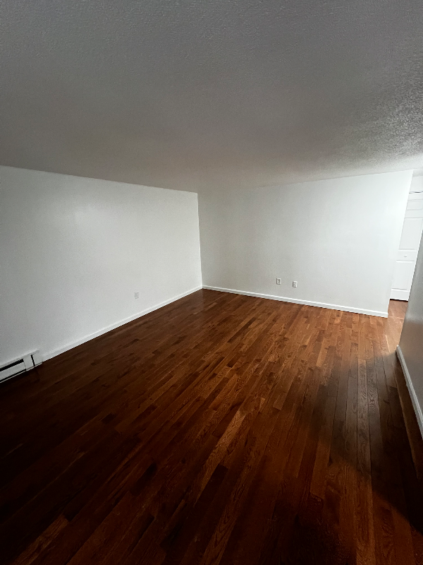 142 Burgundy Hill Lane - Photo 3 of 12