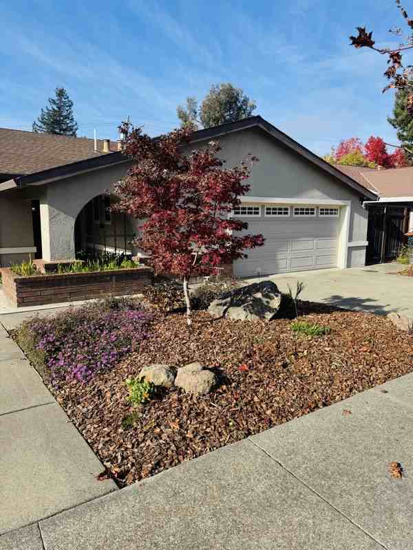 2913 Carissa Court - Photo 2 of 25