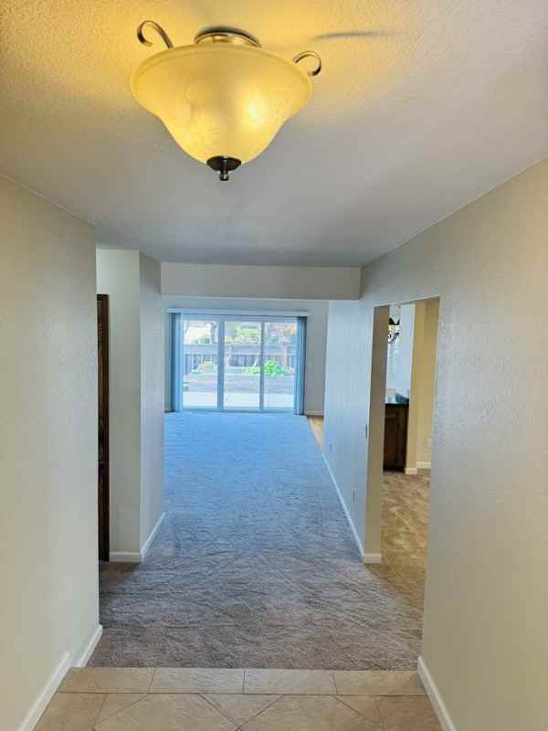 2913 Carissa Court - Photo 4 of 25