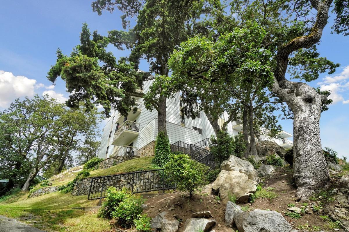 Macaulay North Apartments - Photo 5 of 15