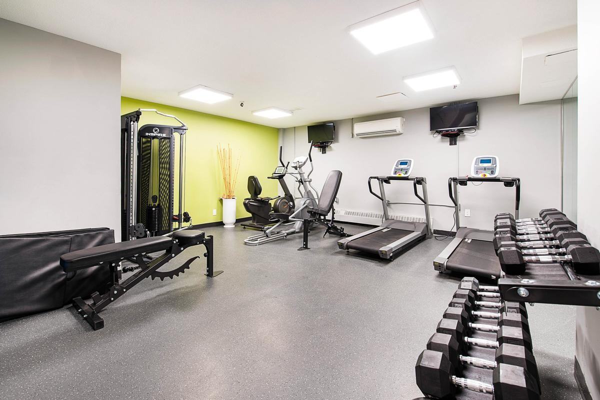 15 Eva Rd - Photo 6 of 16