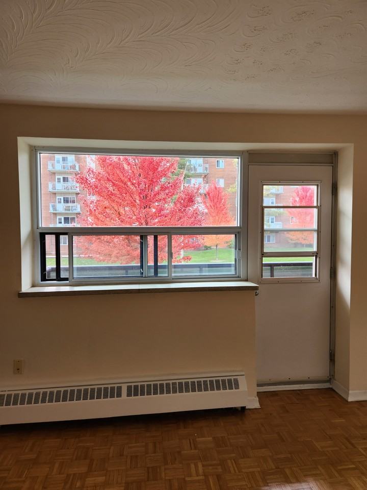 Trayborn Hill - Photo 7 of 10