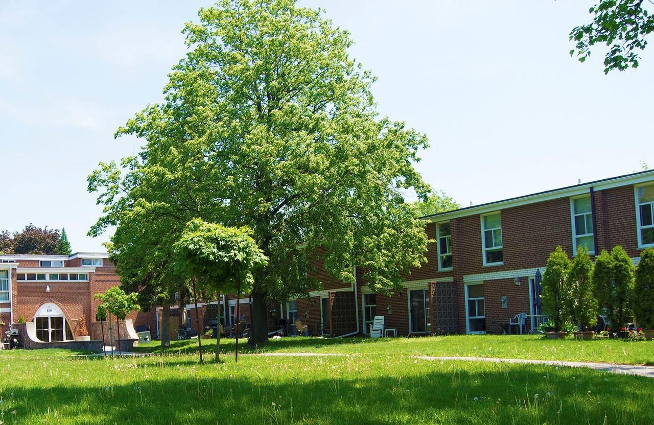 Forestview Townhomes: 2020 - Photo 7 of 10