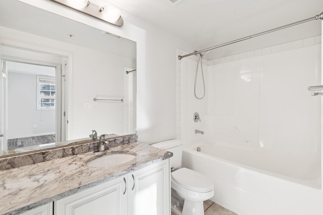 Vivacity - Photo 2 of 29