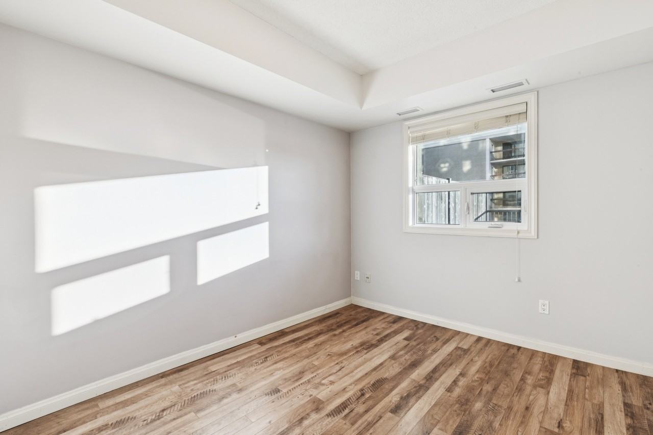 Vivacity - Photo 3 of 29