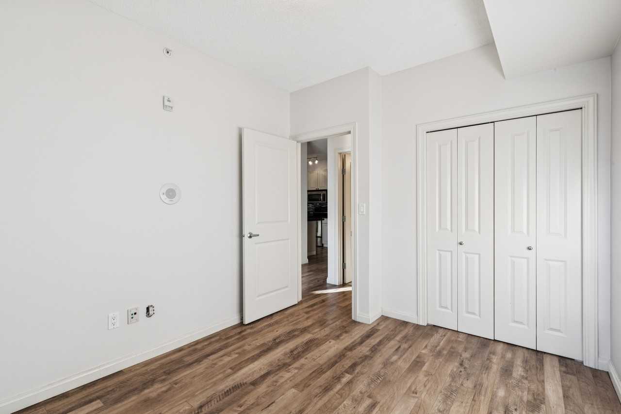 Vivacity - Photo 4 of 29