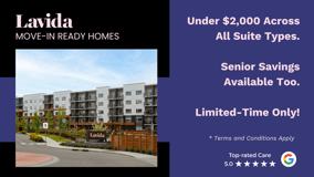 Lavida - Photo 1 of 1