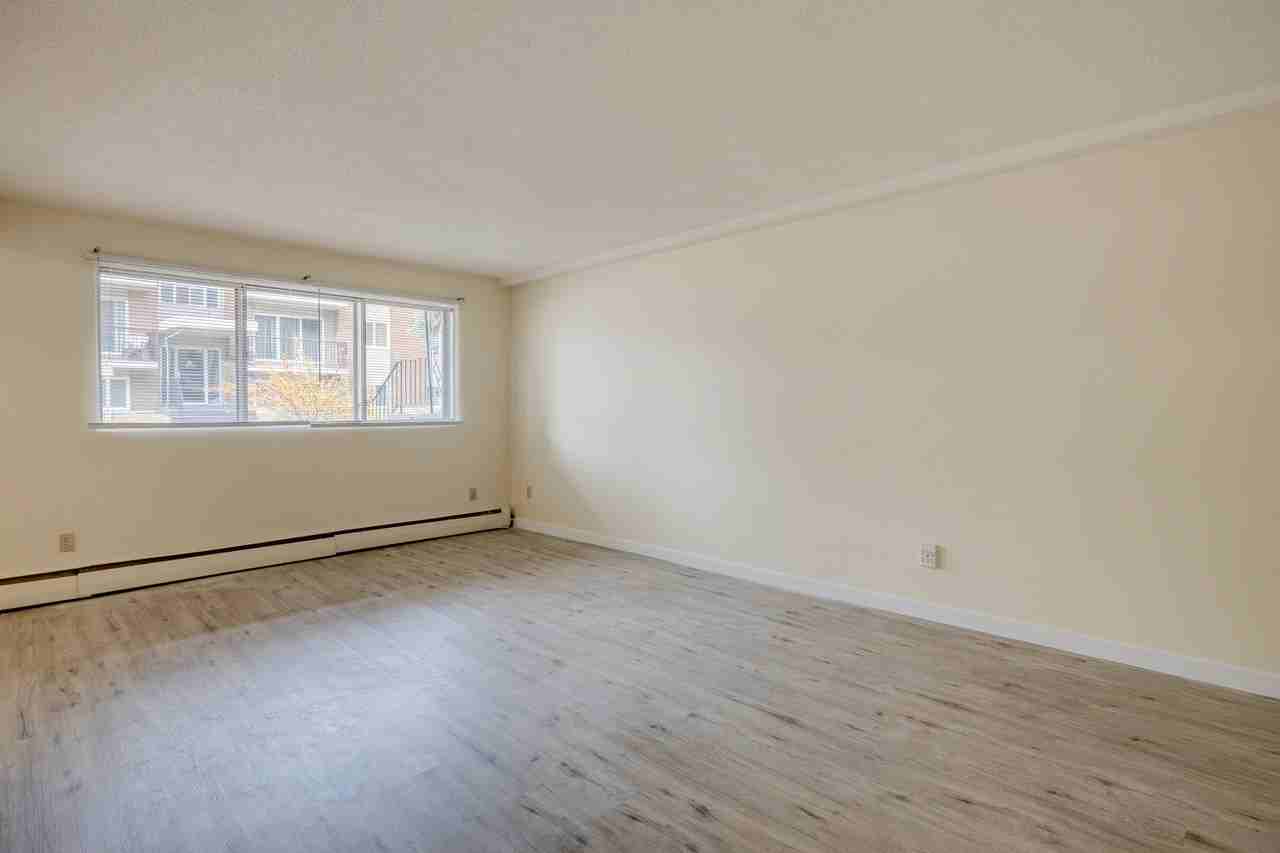 Elmwood II - Photo 6 of 50