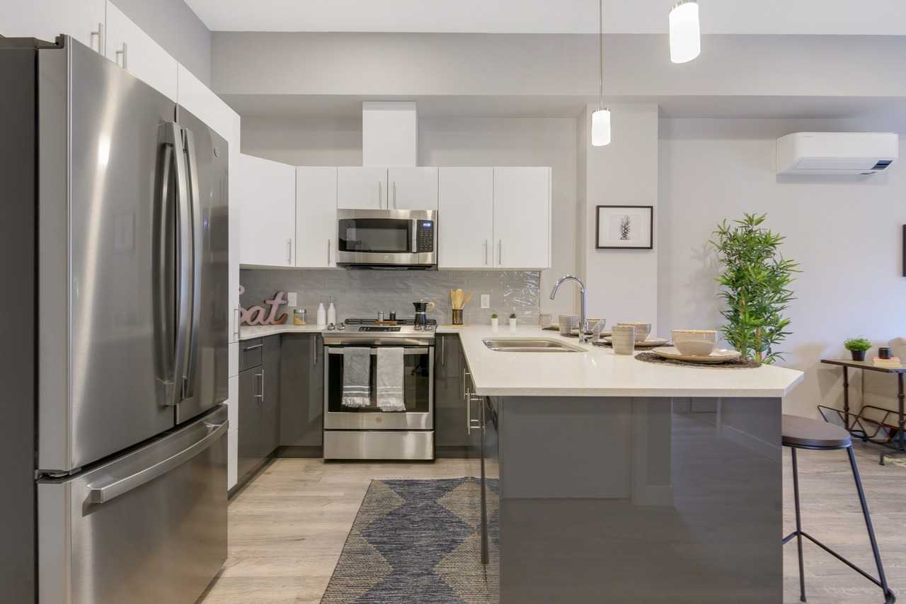 The Aurora - Photo 4 of 21