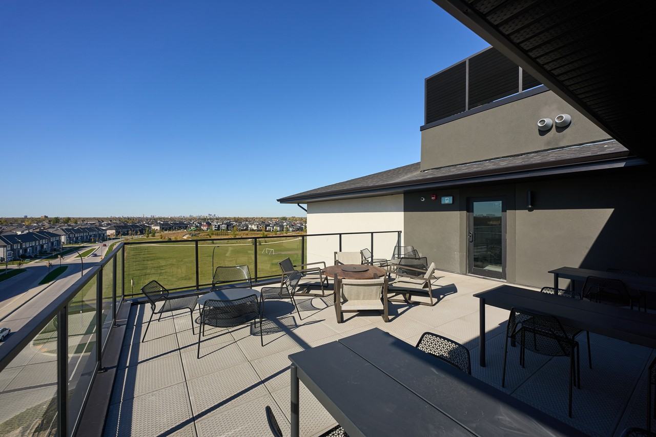 Canopy - Photo 4 of 27