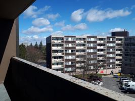 featured image of 790 Springland Dr