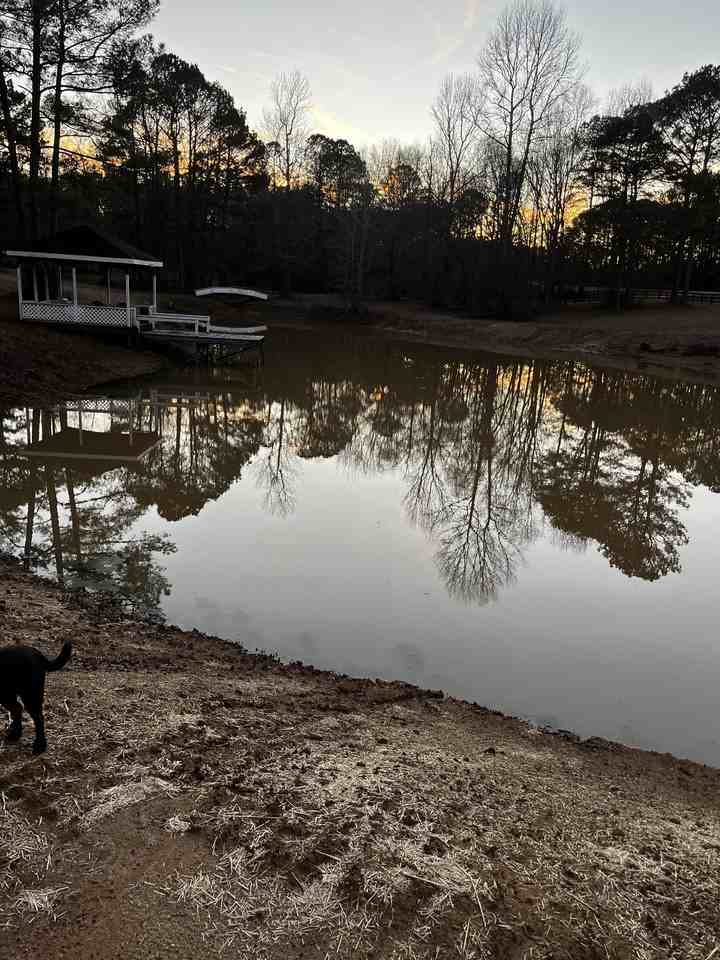 9888 Whitehouse Parkway #NA - Photo 4 of 25